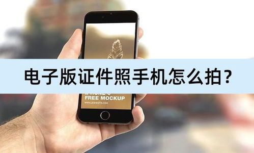 手机拍照片怎么拍电子版的