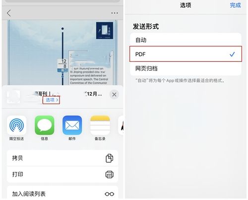 苹果手机pdf下载到哪了