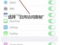 苹果手机如何关闭锁屏界面的相机功能