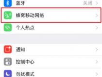 苹果手机左上角一直显示1x是什么意思