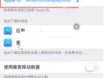 怎样取消苹果手机的快揵支付功能