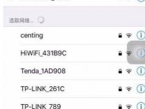 如何查看苹果手机的SSID