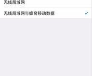 苹果手机用流量很卡怎么回事