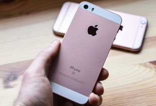 iphone是苹果几