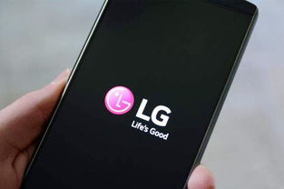 LG 翻盖手机哪些有两个摄像头的