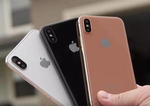 苹果iphonex有什么颜色