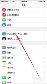 苹果手机如何查看自己的appleid密码呢