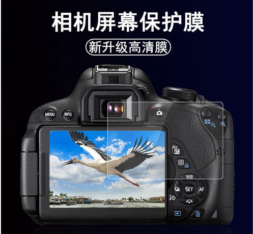 索尼相机老款型号大全