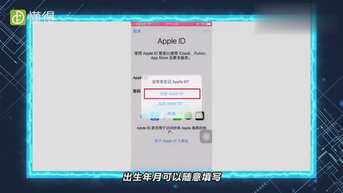 苹果手机id账号是什么格式