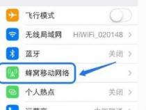 苹果手机网络在哪里设置