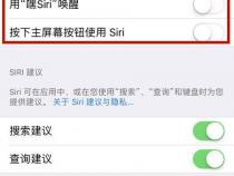 苹果手机语音控制是什么意思