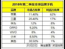 苹果手机全球销量各国占比