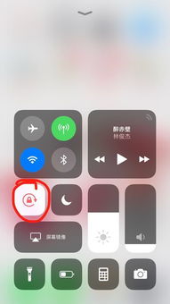 苹果手机安全锁定了怎么解决