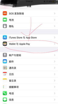 苹果npc功能怎么用