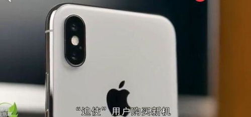 苹果官网买手机靠谱吗会买到翻新机吗