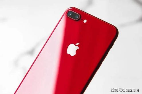 2021苹果手机最新款是哪款
