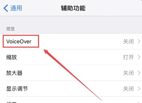 苹果手机的旁白功能是干什么的