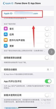 如何在苹果手机下载软件