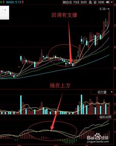 电脑选股看股票行情用哪个软件电脑上有哪些好用的炒股软件