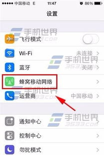 苹果怎么允许软件联网