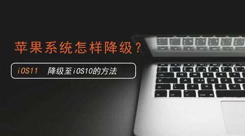 苹果手机怎么降级系统呢