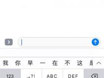 苹果手机有手写输入法吗