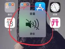 苹果手机拍照有声音怎么关闭