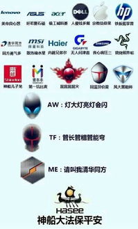 什么牌子的游戏本性价比高,价格中等的