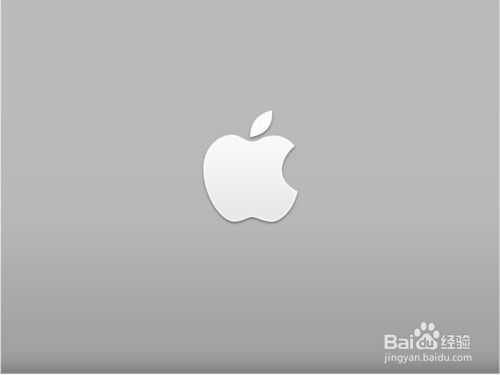 macbook复制粘贴快捷键用不了怎么办