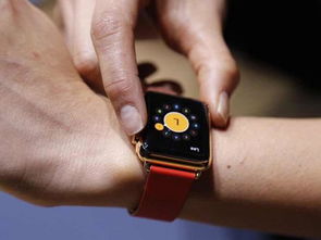 两个applewatch可以怎么互动