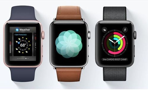 apple watch连上没反应怎么办