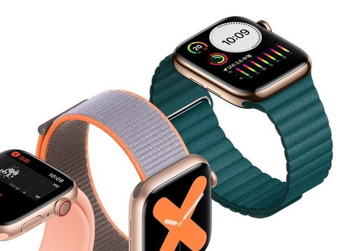 applewatch6-7点收到低心率
