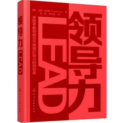 中关村第一才女--梁宁