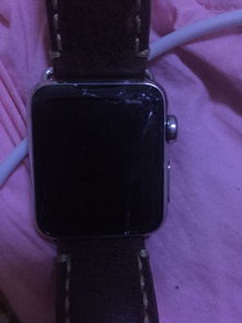 Apple Watch 坏了怎么修