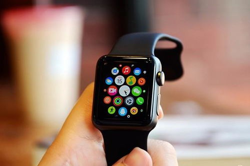 apple watch S2国行和港版有什么区别吗