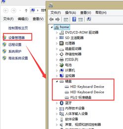 戴尔怎么禁用自带键盘