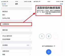 iphone8怎么关闭home键震动