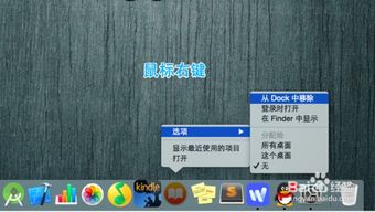苹果电脑的底部Dock栏怎么显示出来呢