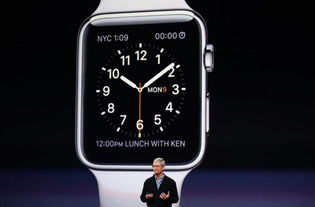 applewatch有哪些功能