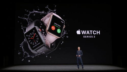 iphonewatch标配都有什么配件