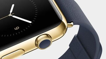 Apple Watch有几种版本