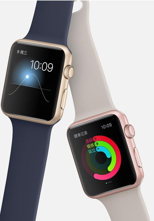 Apple watch 和Apple watch sport 区别