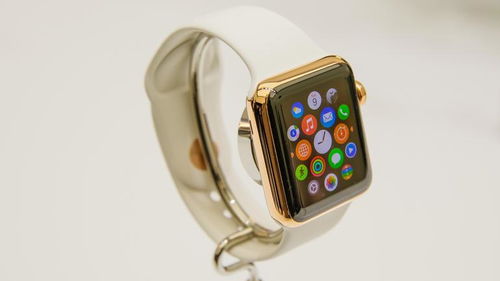 applewatch可以开热点吗