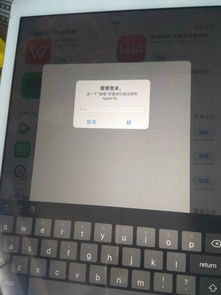 苹果平板电脑要输入apple id密码是多少
