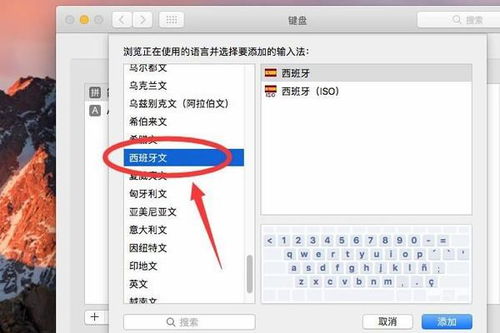 苹果电脑大于等于号怎么打苹果电脑特殊符号怎么打出来