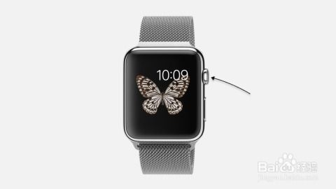 苹果手表Apple Watch怎么设置调整指针的颜色