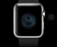 apple watch怎么备份