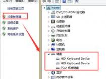 戴尔怎么禁用自带键盘