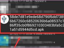 小白一键装机下载到手机上可以给电脑装系统吗
