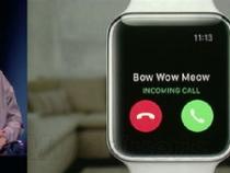 apple watch可以接电话吗